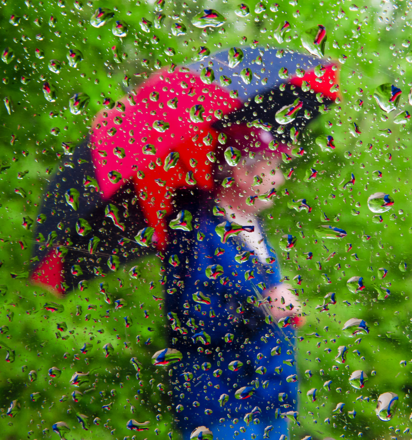 Dave McDermand's Favorite 2014 Photos